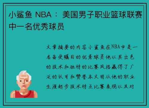小鲨鱼 NBA ：美国男子职业篮球联赛中一名优秀球员